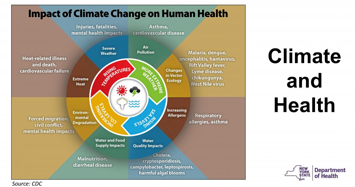 Climate Change And Its Impact On Local, Regional And Global Health And ...